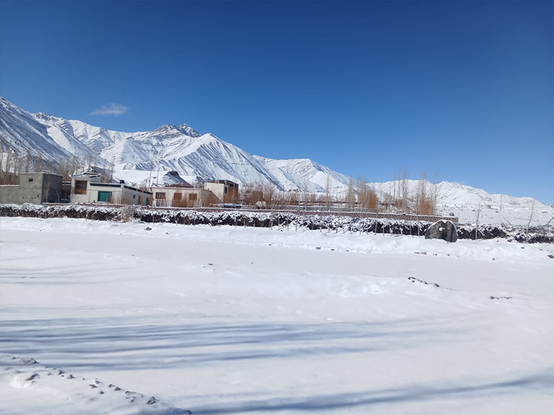 4513236