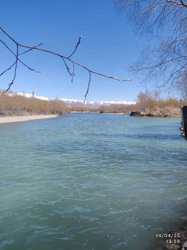 WhatsApp Image 2025-05-05 at 19.18.41